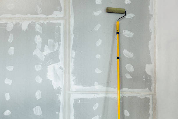 Best Crawl Space Mold Remediation  in Rib Mountain, WI