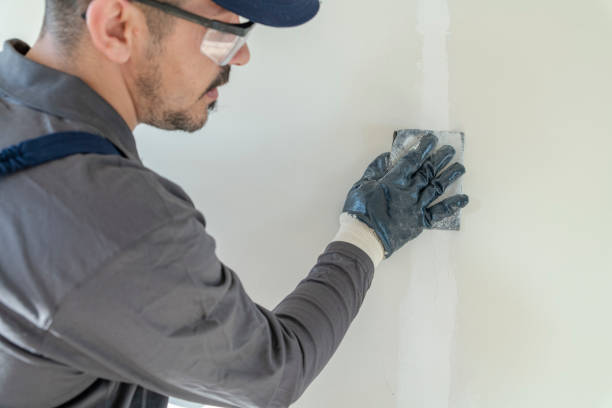 Best Mold Remediation for Healthcare Facilities  in Rib Mountain, WI