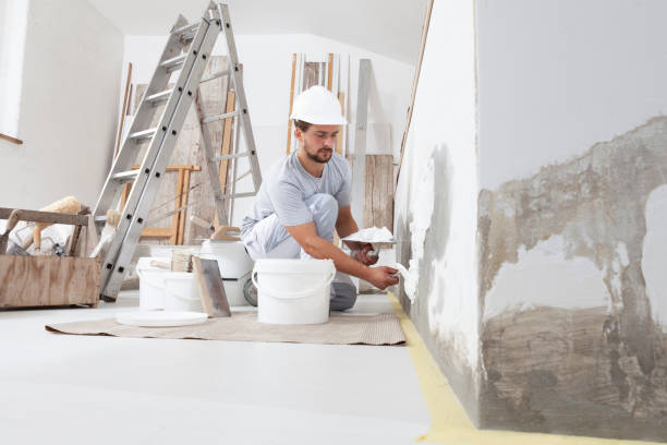Best Post-Construction Mold Inspection  in Rib Mountain, WI