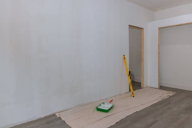  Rib Mountain, WI Mold Removal Pros