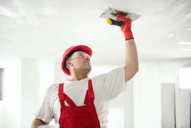Best Residential Mold Inspection & Testing  in Rib Mountain, WI