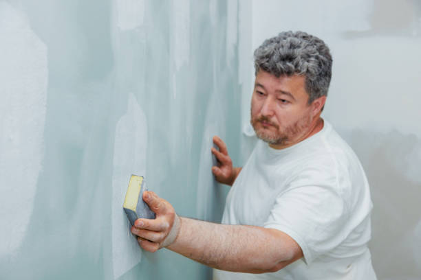 Best Emergency Mold Remediation  in Rib Mountain, WI