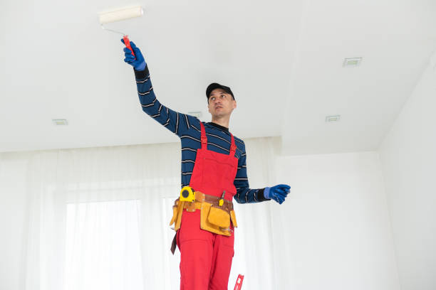 Best Attic Mold Removal  in Rib Mountain, WI
