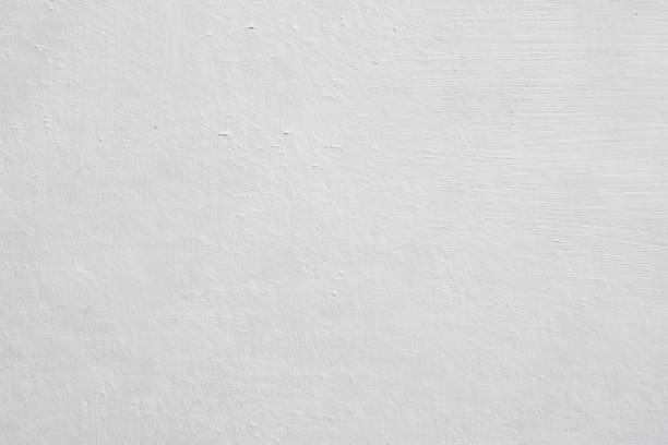 Best Mold Damage Restoration  in Rib Mountain, WI